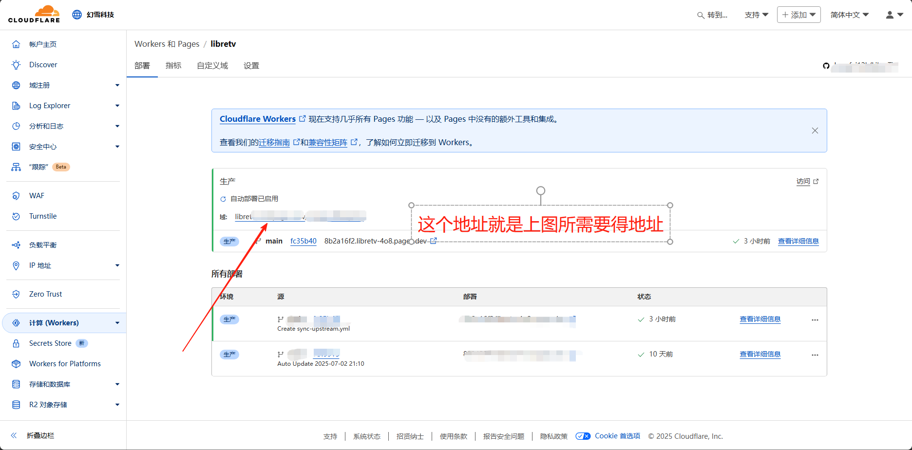自定义域名 DNS 配置