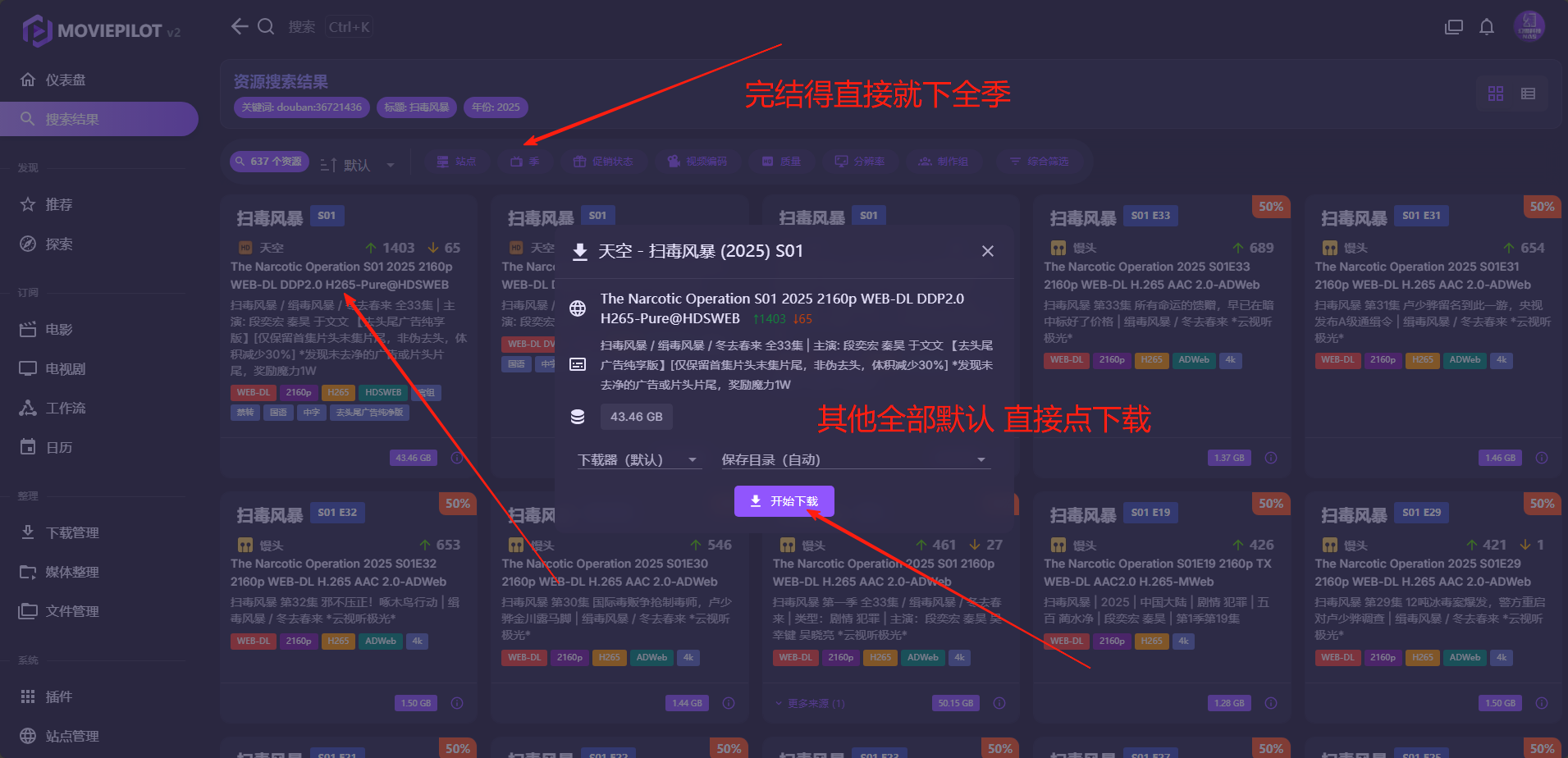 MoviePilot 搜索结果示例